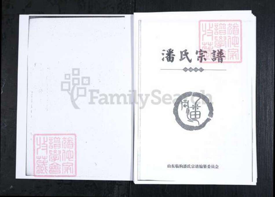 山东省潍坊市临朐县潘氏族谱-潘氏宗谱.pdf电子版缩略图