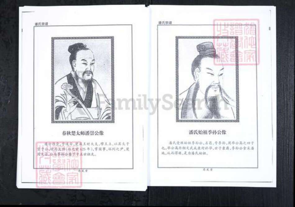 山东省潍坊市临朐县潘氏族谱-潘氏宗谱.pdf电子版预览图2