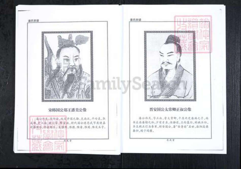 山东省潍坊市临朐县潘氏族谱-潘氏宗谱.pdf电子版预览图3