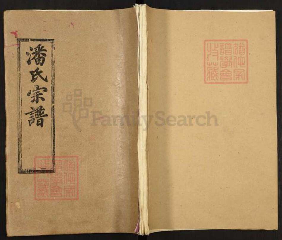 湖北省黄冈市罗田县潘氏清和堂族谱-潘氏宗谱.pdf电子版缩略图