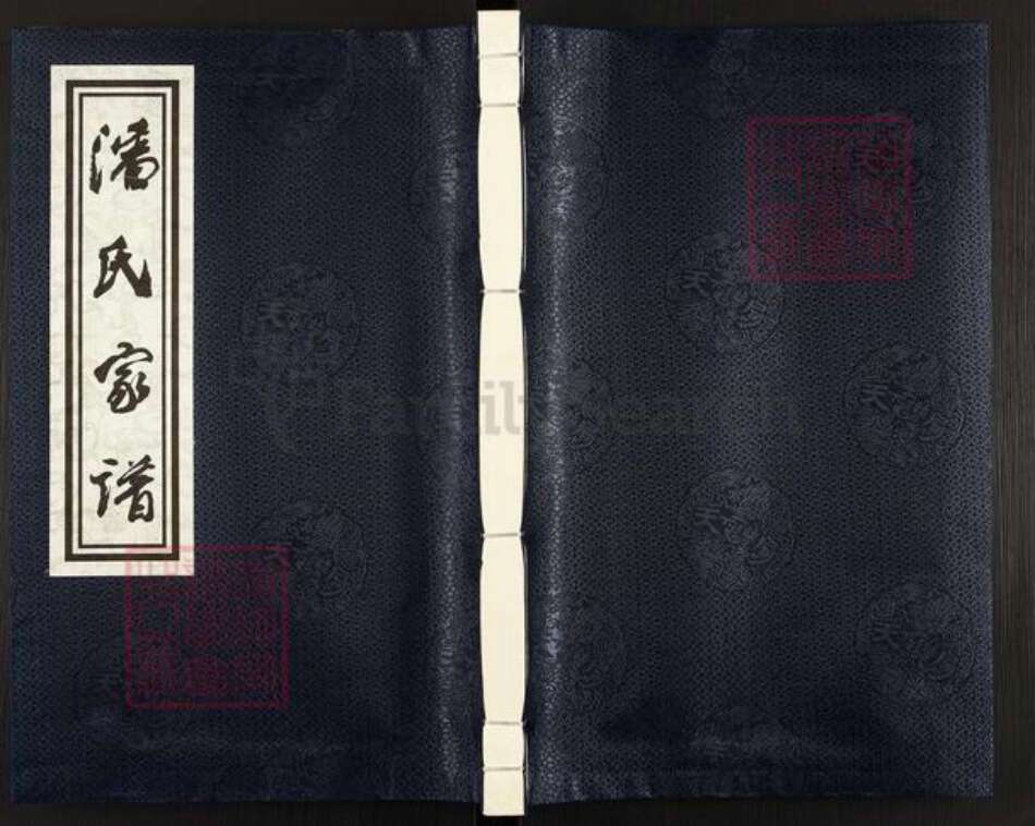 浙江省金华市浦江县潘氏聿追堂族谱-富桐潘氏宗谱.pdf电子版缩略图