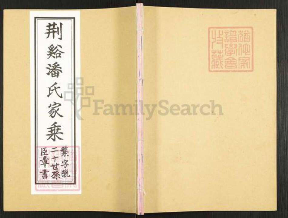 江苏省无锡市宜兴市新街街道潘氏乐寿堂族谱-荆谿潘氏家乘.pdf电子版缩略图