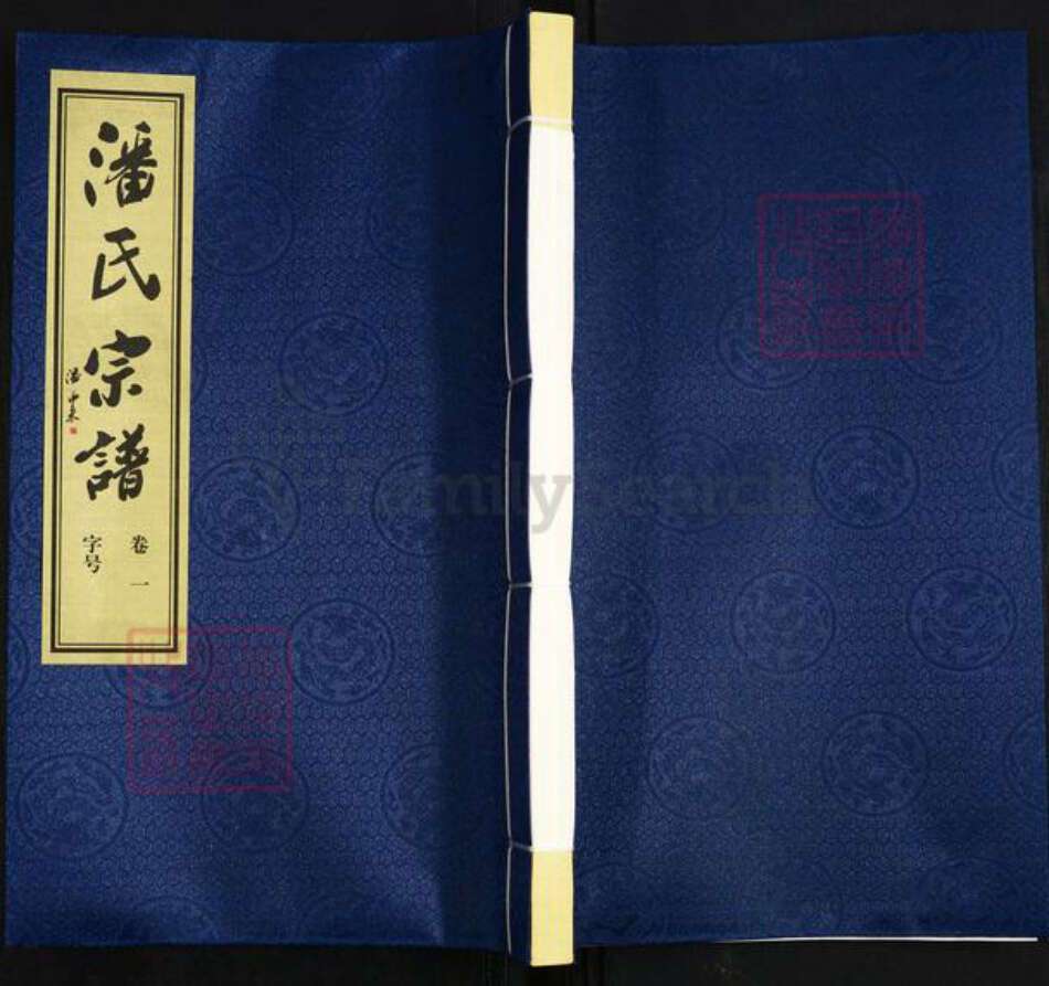 江苏省常州市武进县潘氏花县堂族谱-潘氏宗谱.pdf电子版缩略图