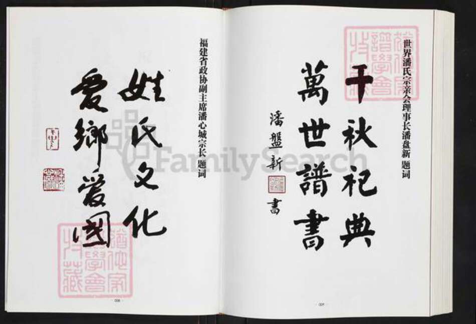 河南省郑州市荥阳市高村乡潘氏族谱-荥阳潘氏.pdf电子版预览图5