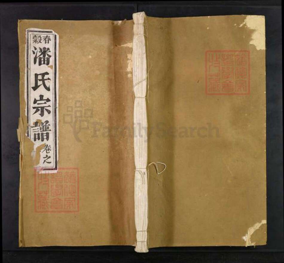 安徽省芜湖市南陵县三里镇潘氏族谱-春谷潘氏宗谱.pdf电子版缩略图