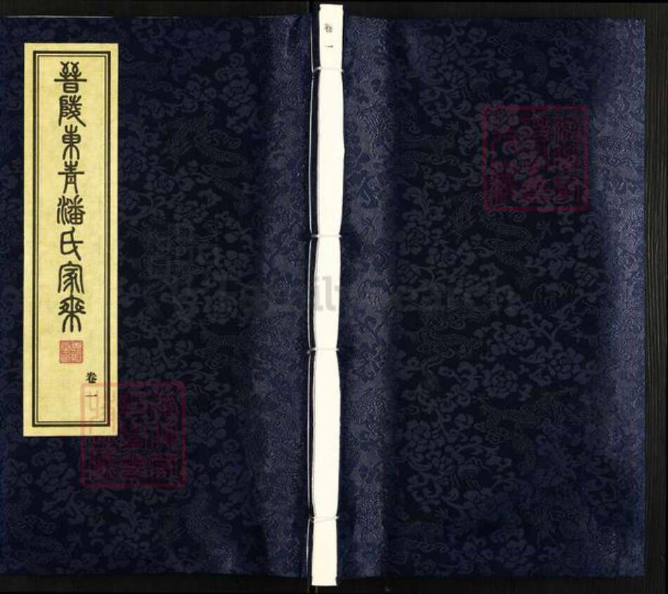 安徽省安庆市怀宁县潘氏惠贻堂族谱-晋陵东青潘氏家乘.pdf电子版缩略图