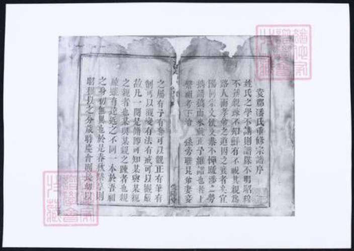 江西省宜春市潘氏族谱-袁郡潘氏宗谱.pdf电子版预览图3