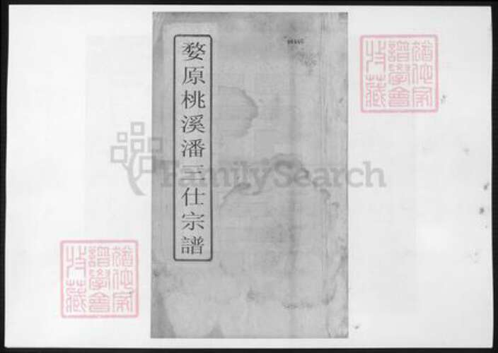 江西省上饶市婺源县潘氏族谱-婺源桃溪潘三仕宗谱.pdf电子版缩略图