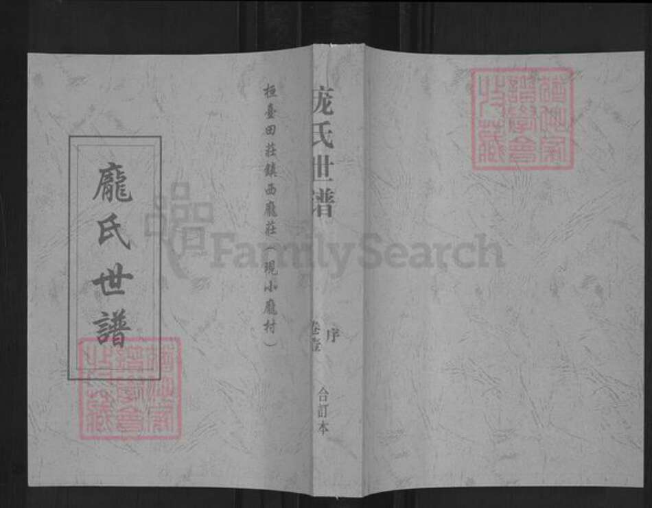 山东省淄博市桓台县新城镇庞氏族谱-庞氏世谱.pdf电子版缩略图