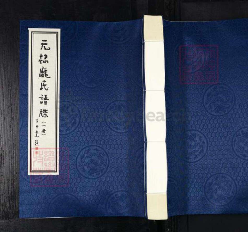 山东省滨州市无棣县信阳镇庞氏族谱-无棣庞氏谱牒.pdf电子版缩略图
