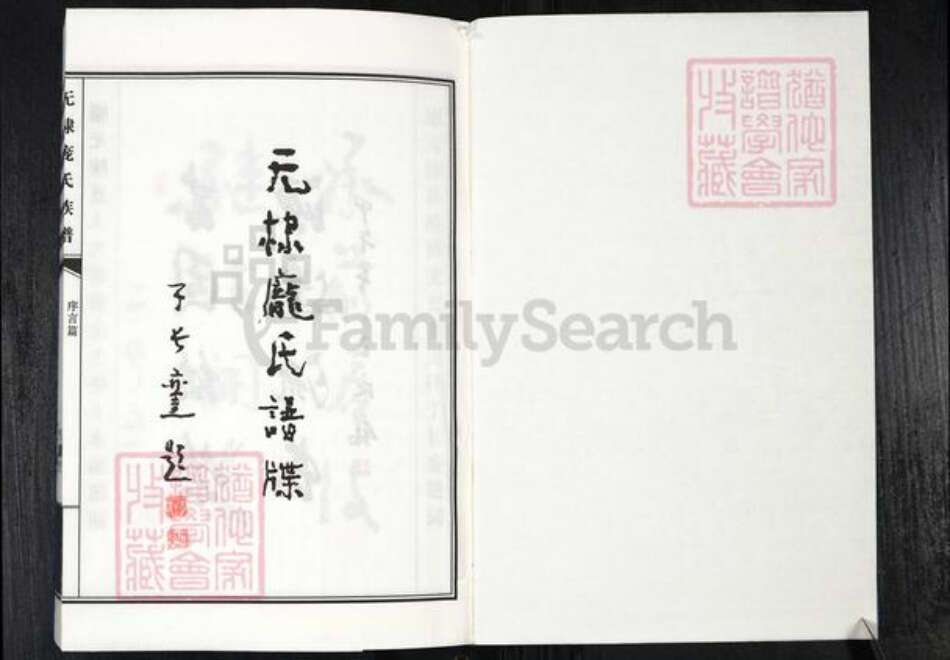山东省滨州市无棣县信阳镇庞氏族谱-无棣庞氏谱牒.pdf电子版预览图1