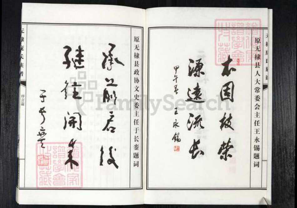 山东省滨州市无棣县信阳镇庞氏族谱-无棣庞氏谱牒.pdf电子版预览图2
