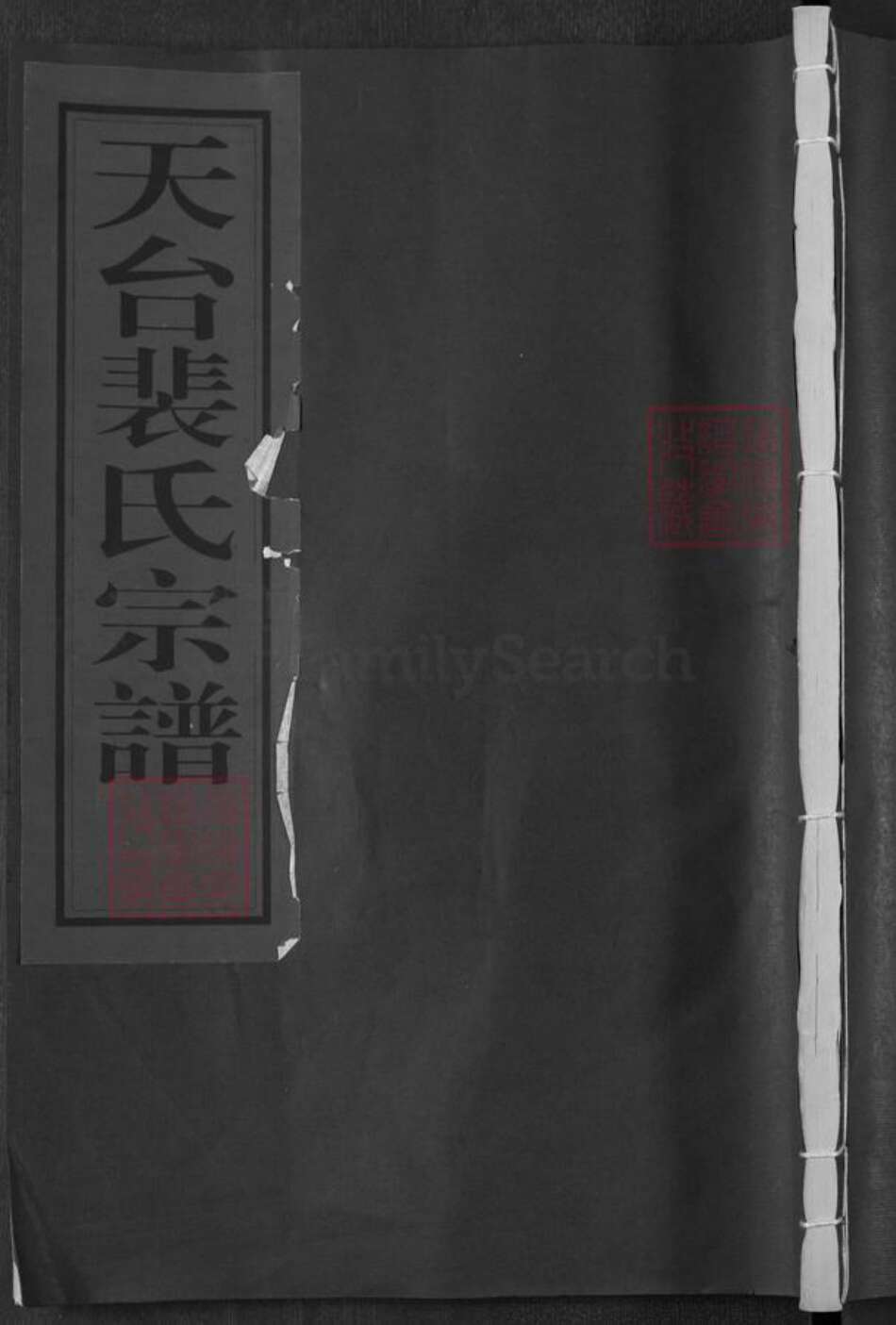 浙江省台州市天台县坦头镇裴氏族谱-天台裴氏宗谱.pdf电子版缩略图