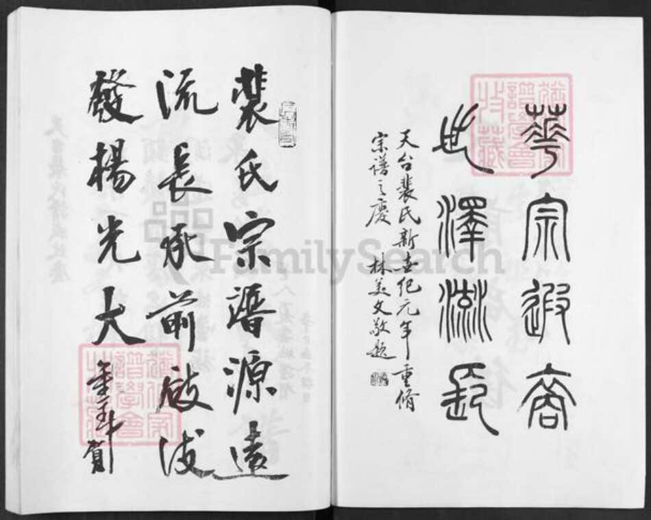 浙江省台州市天台县坦头镇裴氏族谱-天台裴氏宗谱.pdf电子版预览图3