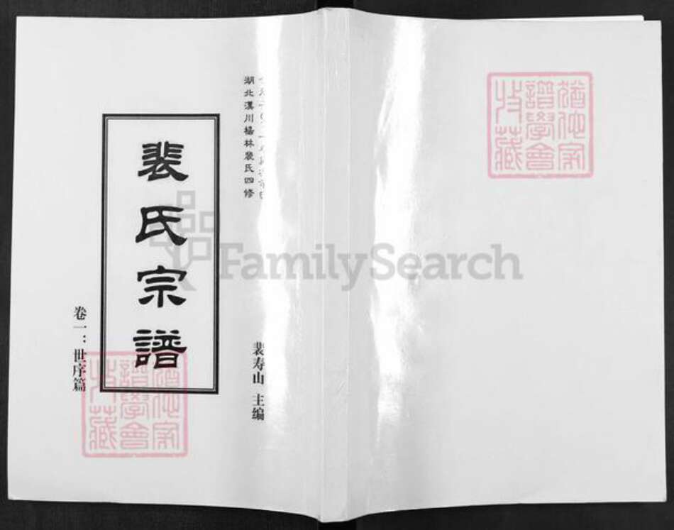 湖北省孝感市汉川市裴氏绿野堂族谱-湖北汉川杨林裴氏四修裴氏宗谱.pdf电子版缩略图
