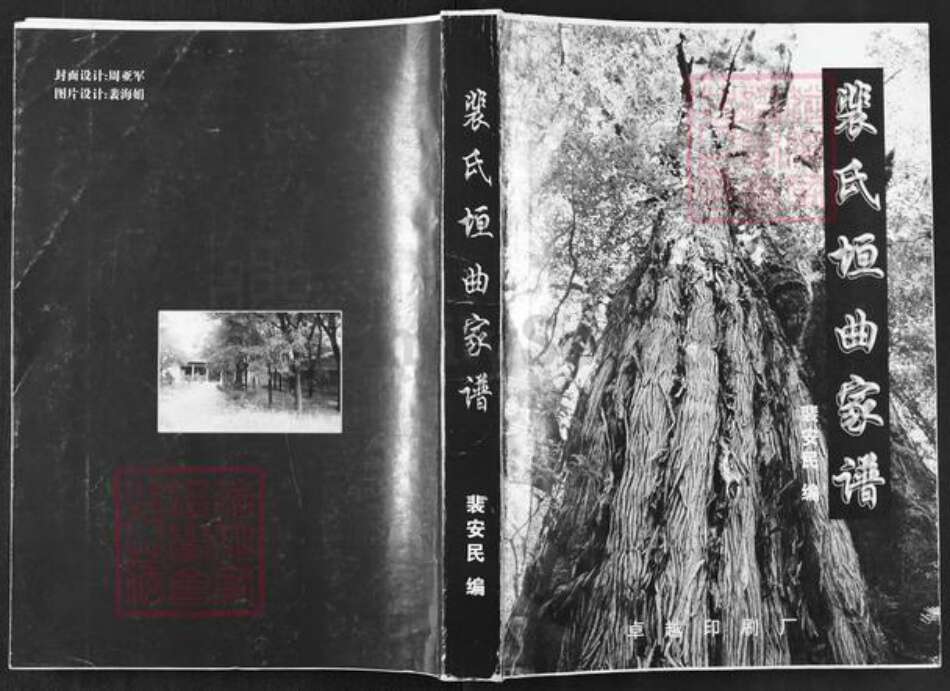 山西省运城市垣曲县古城镇裴氏族谱-裴氏垣曲家谱.pdf电子版缩略图