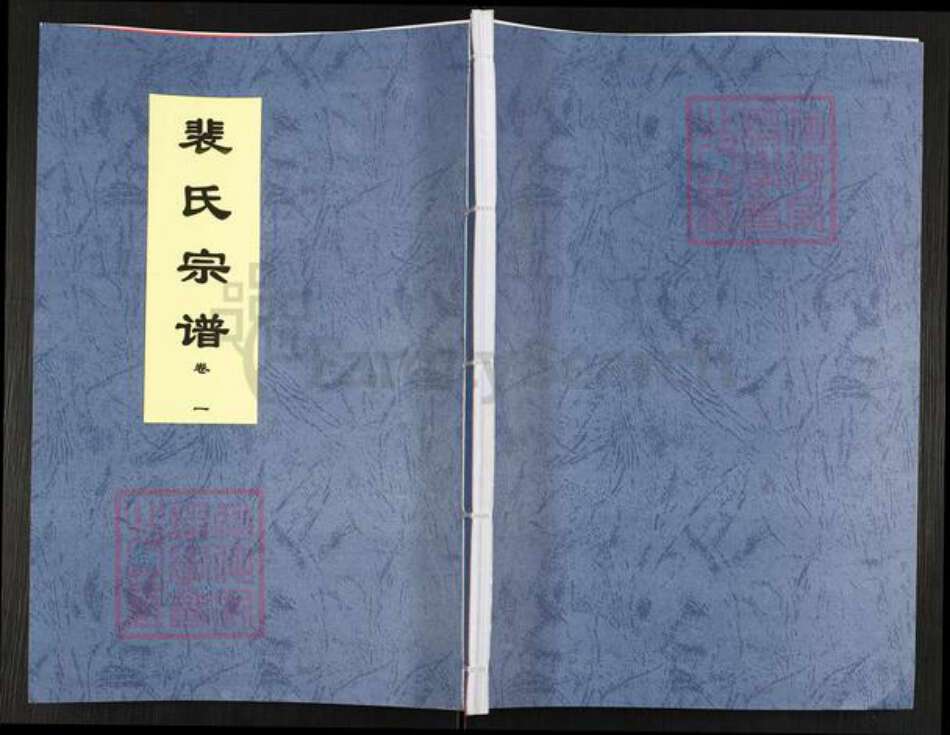 安徽省合肥市肥东县梁园镇裴氏绿野堂族谱-裴氏宗谱.pdf电子版缩略图