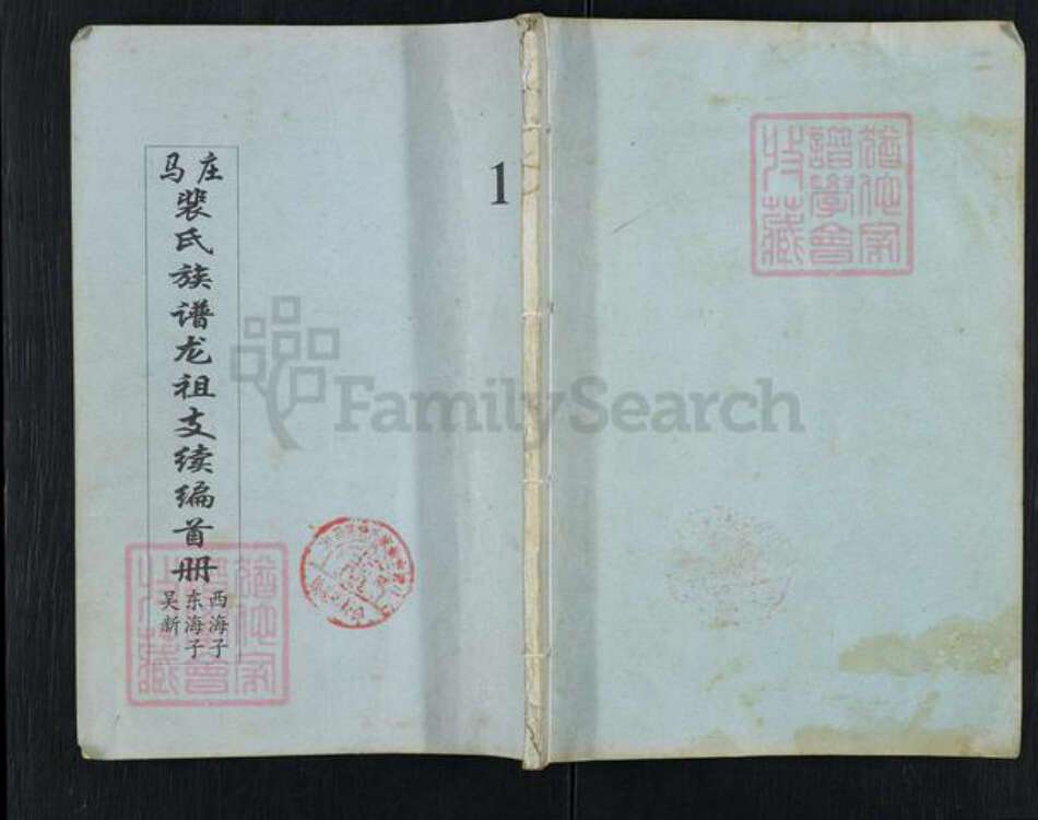 山东省泰安市岱岳区裴氏族谱-马庄裴氏族谱龙祖支续编.pdf电子版缩略图
