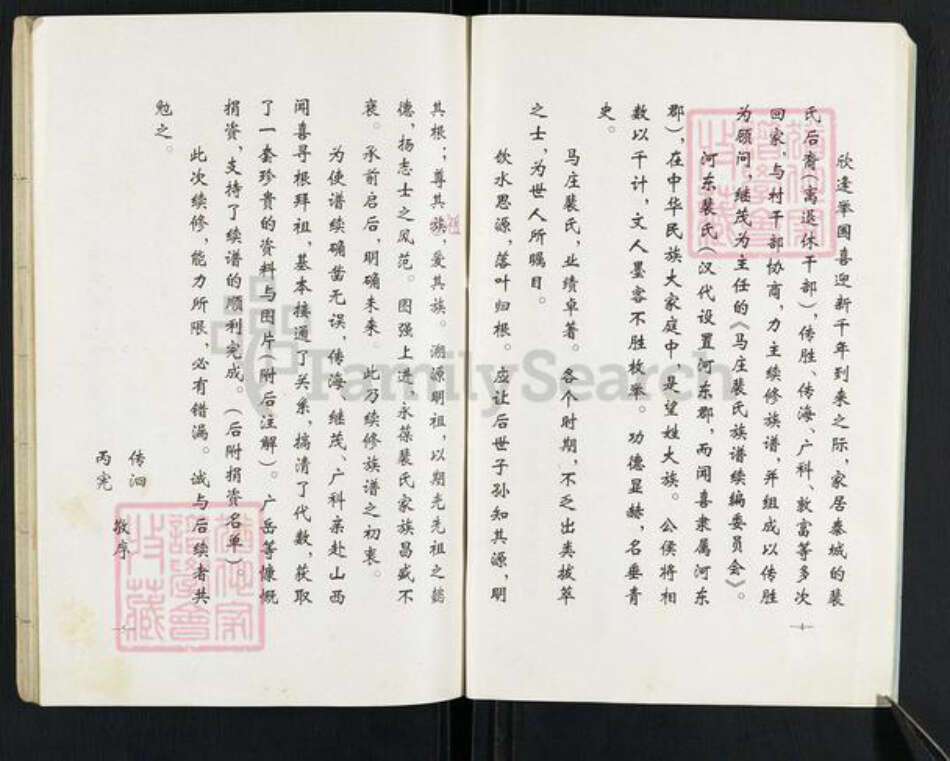 山东省泰安市岱岳区裴氏族谱-马庄裴氏族谱龙祖支续编.pdf电子版预览图3