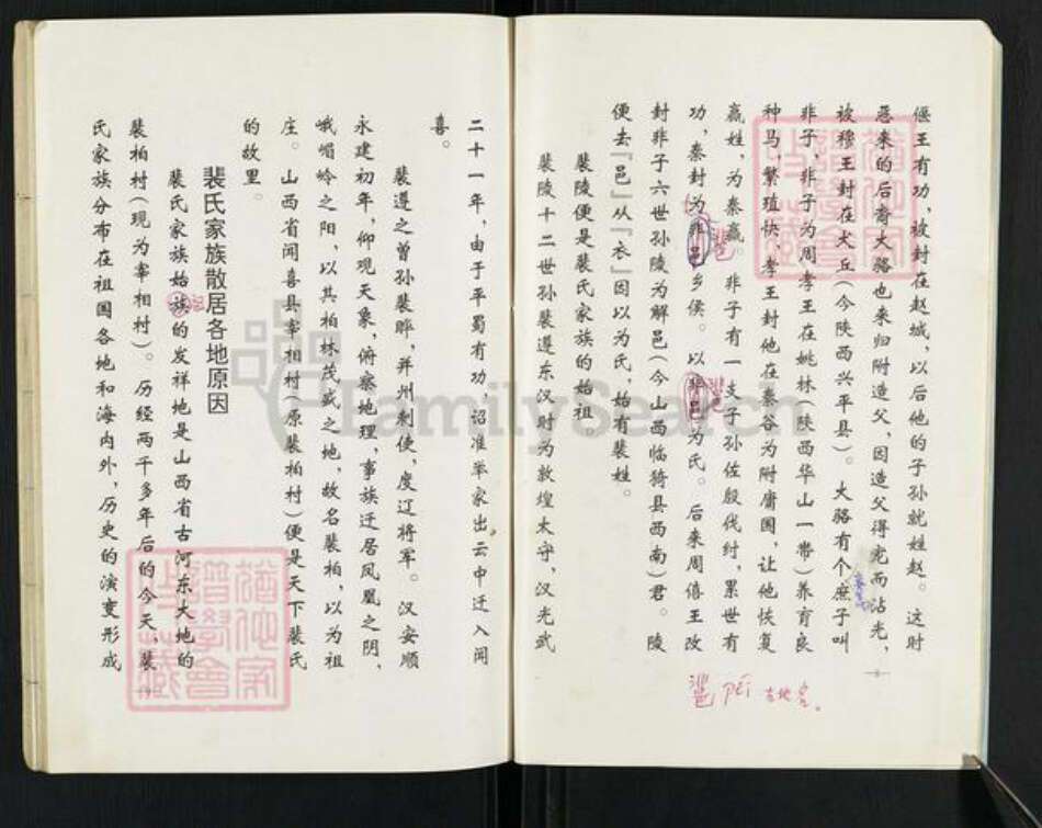 山东省泰安市岱岳区裴氏族谱-马庄裴氏族谱龙祖支续编.pdf电子版预览图5