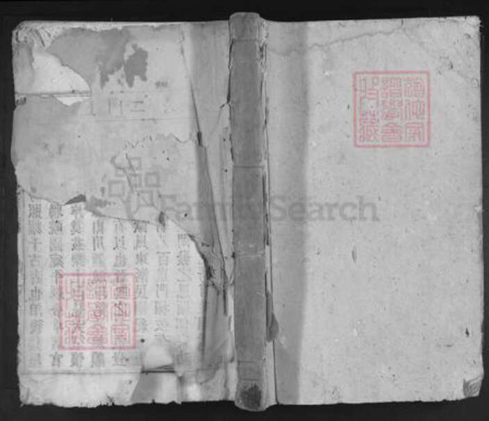 安徽省安庆市怀宁县雷端口乡彭氏树滋堂族谱-彭氏宗谱.pdf电子版缩略图