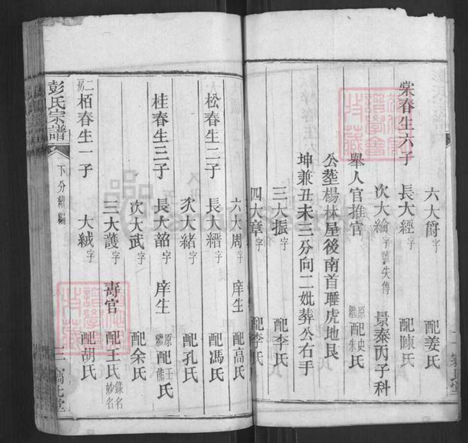 湖北省黄冈市麻城市彭氏窃比堂族谱-彭氏宗谱.pdf电子版预览图3