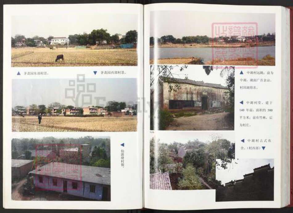 江西省鹰潭市贵溪市滨江镇彭氏族谱-彭氏宗谱.pdf电子版预览图5