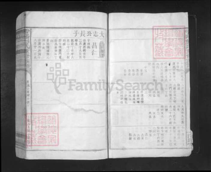 江西省赣州市于都县贡江镇彭氏淮阳堂族谱-雩阳彭氏重修族谱.pdf电子版预览图2