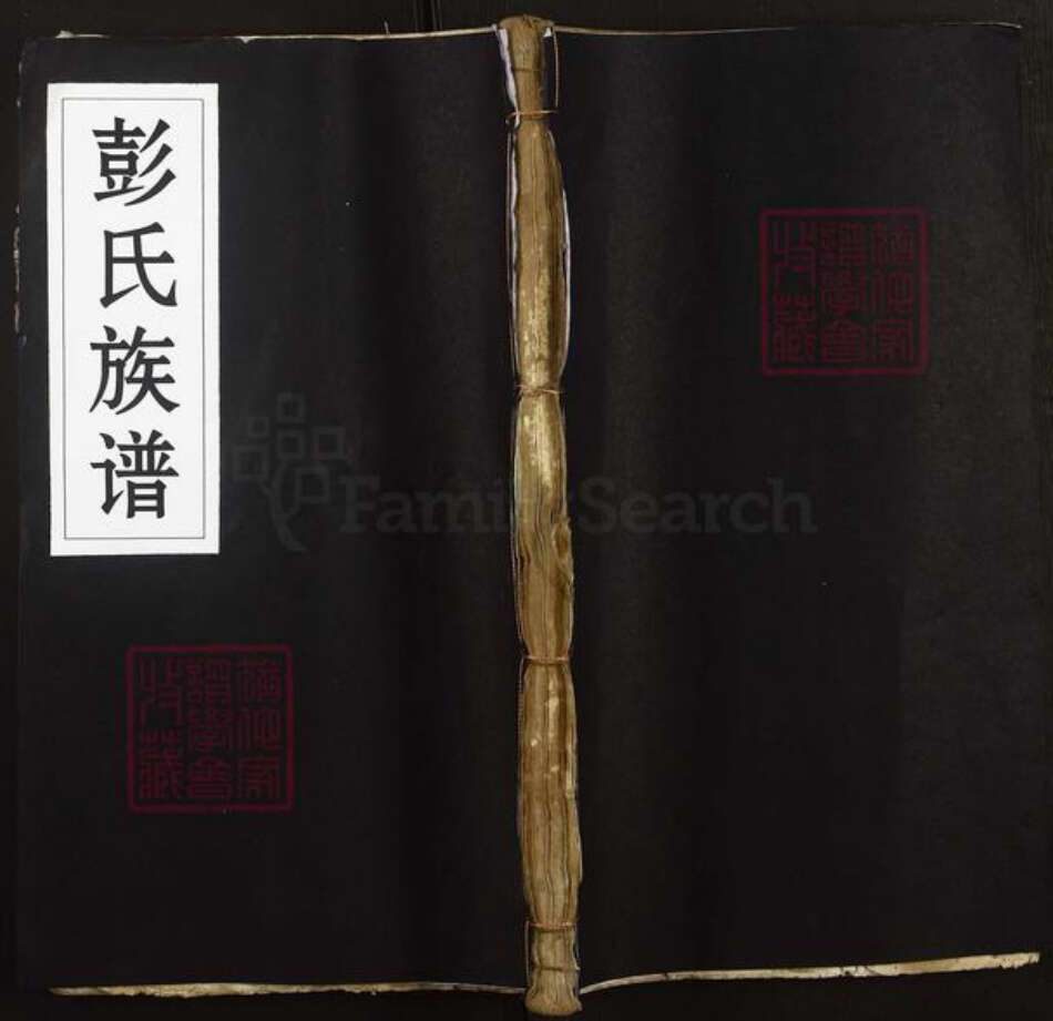 湖北省黄冈市麻城市彭氏族谱-彭氏族谱.pdf电子版缩略图