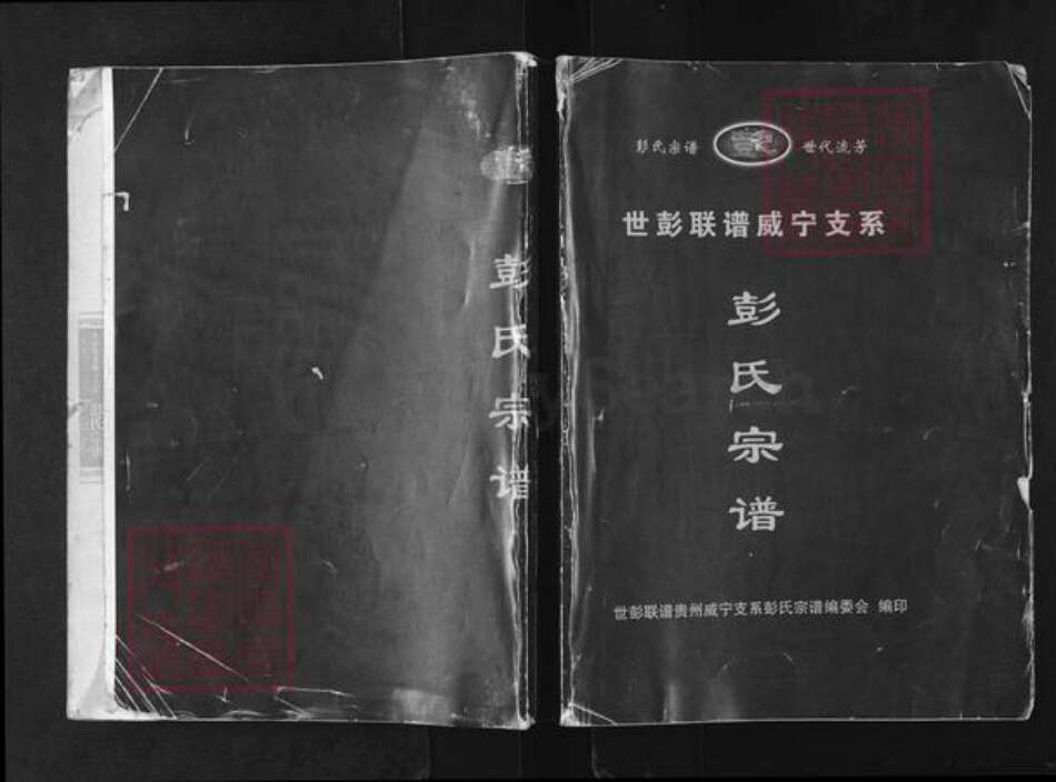 贵州省毕节市纳雍县彭氏陇西堂族谱-彭氏宗谱.世彭联谱威宁支系.pdf电子版缩略图