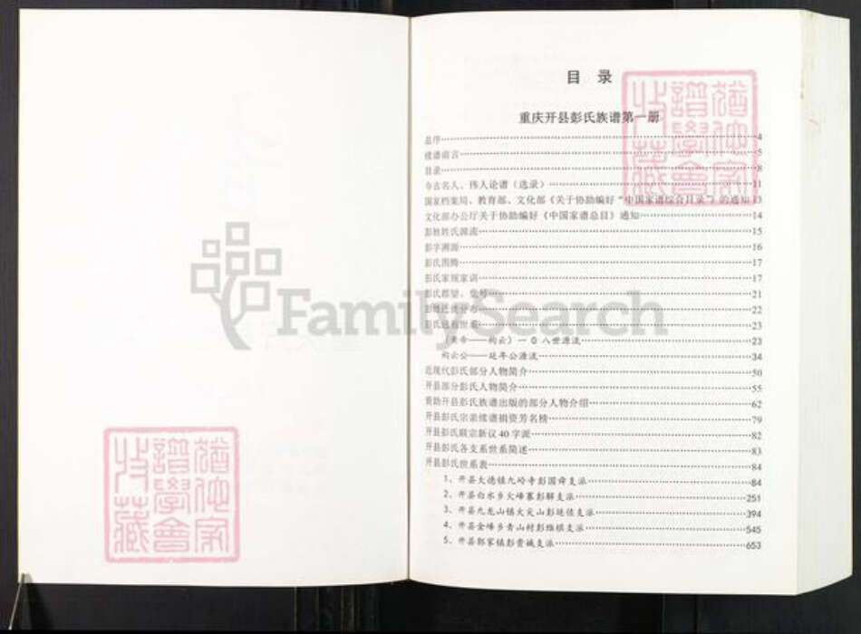 重庆市开州区彭氏族谱-重庆开县彭氏族谱.pdf电子版预览图2