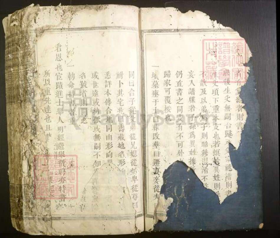 江西省彭氏族谱-雩邑彭氏三修族谱[不分卷].pdf电子版预览图4