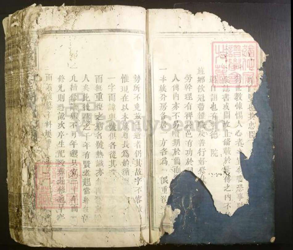 江西省彭氏族谱-雩邑彭氏三修族谱[不分卷].pdf电子版预览图5