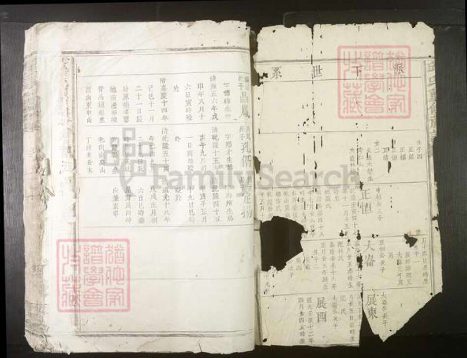 江西省彭氏族谱-雩邑彭氏四修族谱[不分卷].pdf电子版预览图1