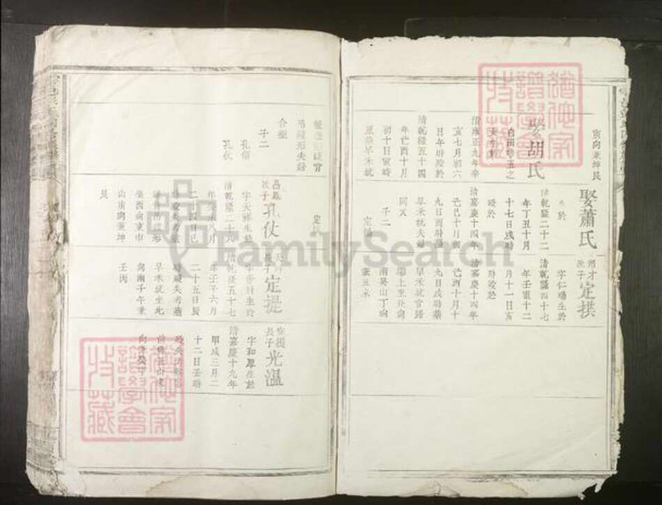 江西省彭氏族谱-雩邑彭氏四修族谱[不分卷].pdf电子版预览图2