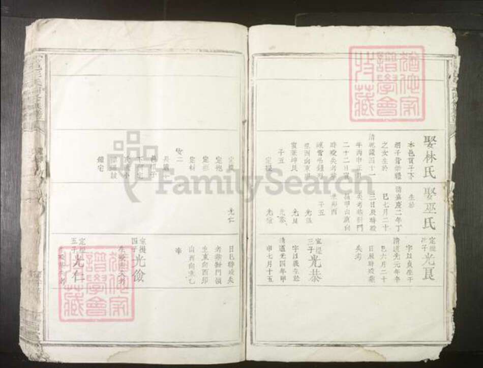 江西省彭氏族谱-雩邑彭氏四修族谱[不分卷].pdf电子版预览图3