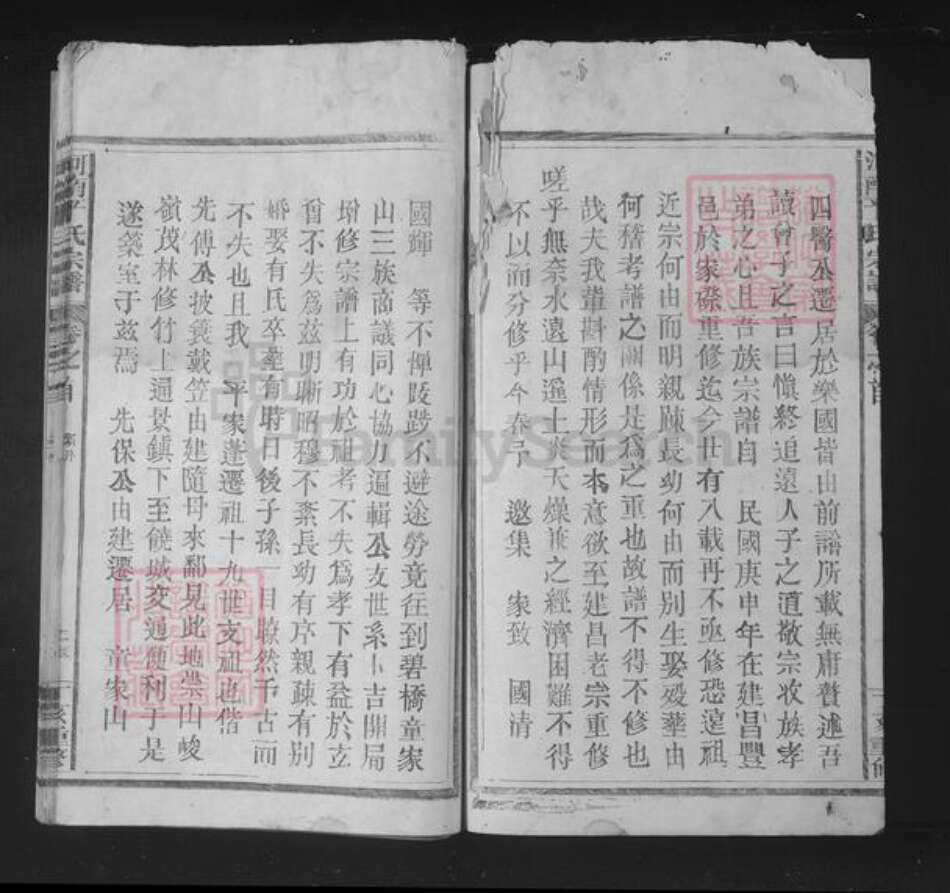 江西省抚州市南丰县平氏族谱-河南平氏宗谱.pdf电子版预览图2