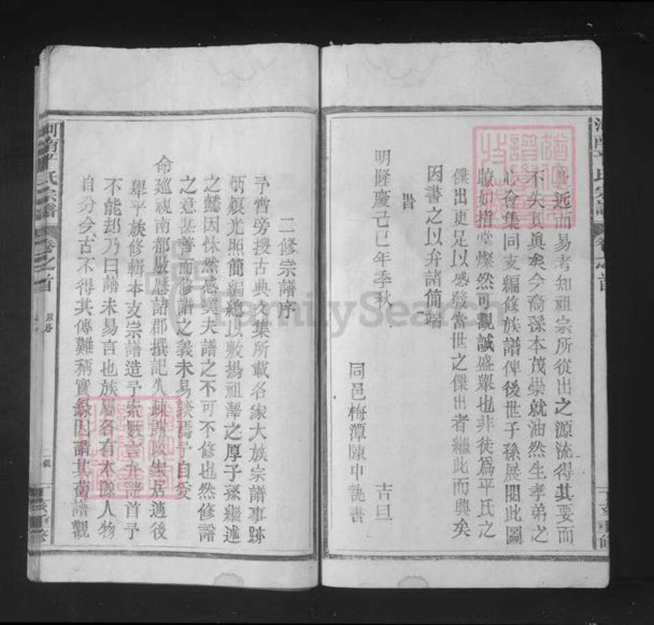 江西省抚州市南丰县平氏族谱-河南平氏宗谱.pdf电子版预览图5