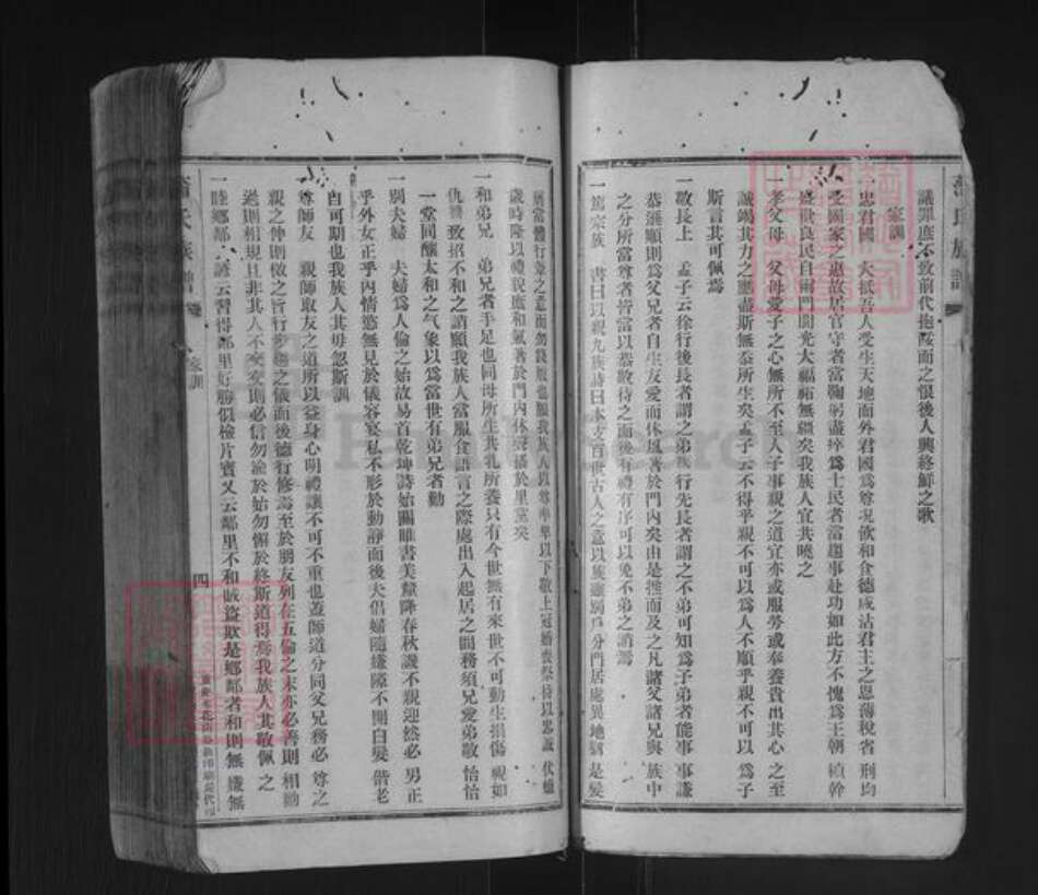 重庆市江津区蒲氏族谱-蒲氏族谱.pdf电子版预览图4