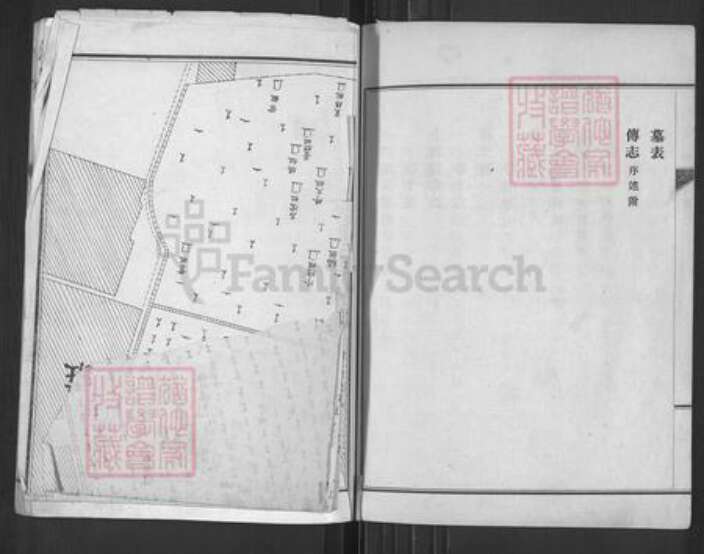 山东省济南市莱芜区亓氏族谱-亓氏族谱.pdf电子版预览图4