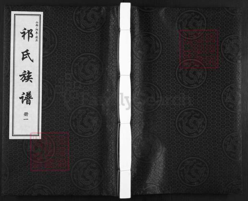 山西省阳泉市平定县巨城镇祁氏族谱-山西.阳泉.连庄.祁氏族谱.pdf电子版缩略图