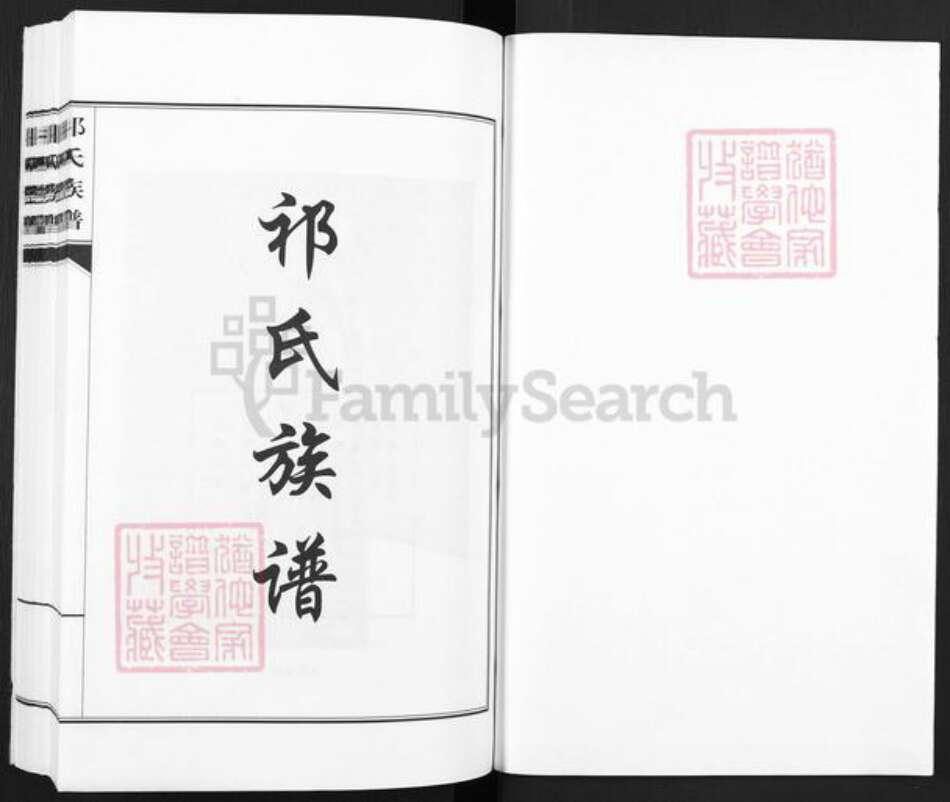 山西省阳泉市平定县巨城镇祁氏族谱-山西.阳泉.连庄.祁氏族谱.pdf电子版预览图1