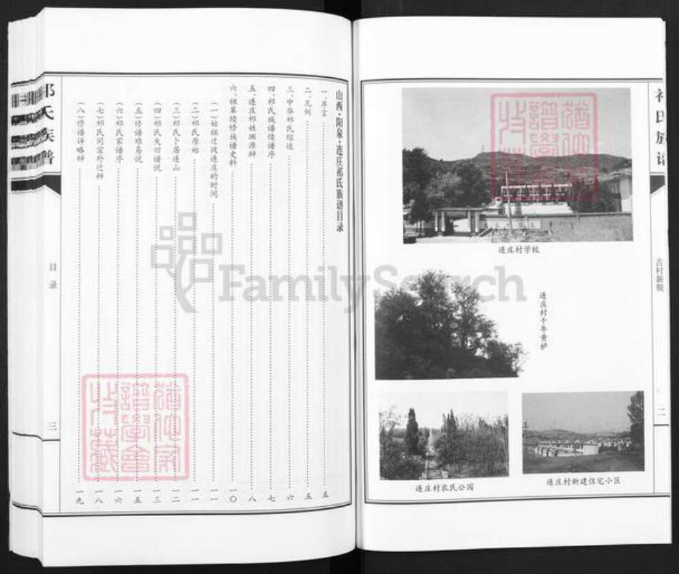 山西省阳泉市平定县巨城镇祁氏族谱-山西.阳泉.连庄.祁氏族谱.pdf电子版预览图4