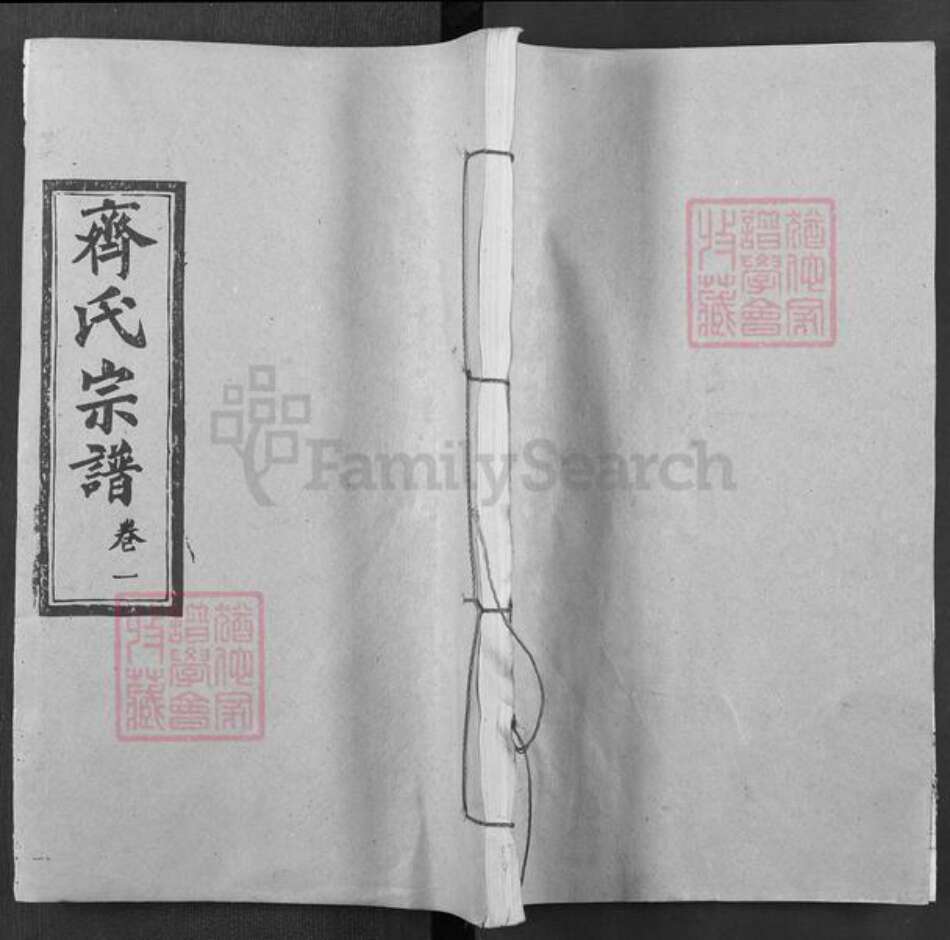 湖北省武汉市新洲区齐氏尚本堂族谱-齐氏宗谱.pdf电子版缩略图