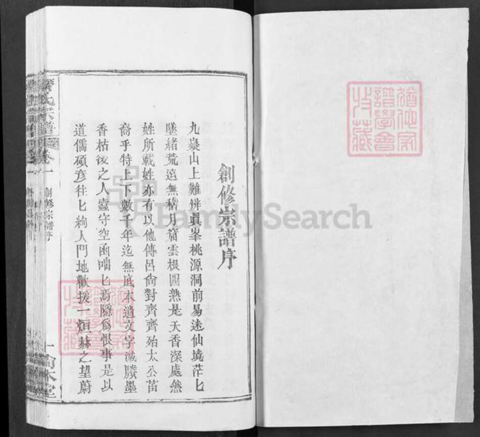 湖北省武汉市新洲区齐氏尚本堂族谱-齐氏宗谱.pdf电子版预览图1