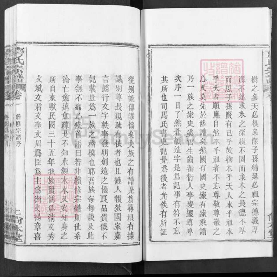湖北省武汉市新洲区齐氏尚本堂族谱-齐氏宗谱.pdf电子版预览图5