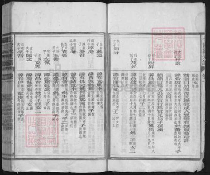 湖南省邵阳市隆回县钱氏族谱-钱氏七修流光谱.pdf电子版预览图2