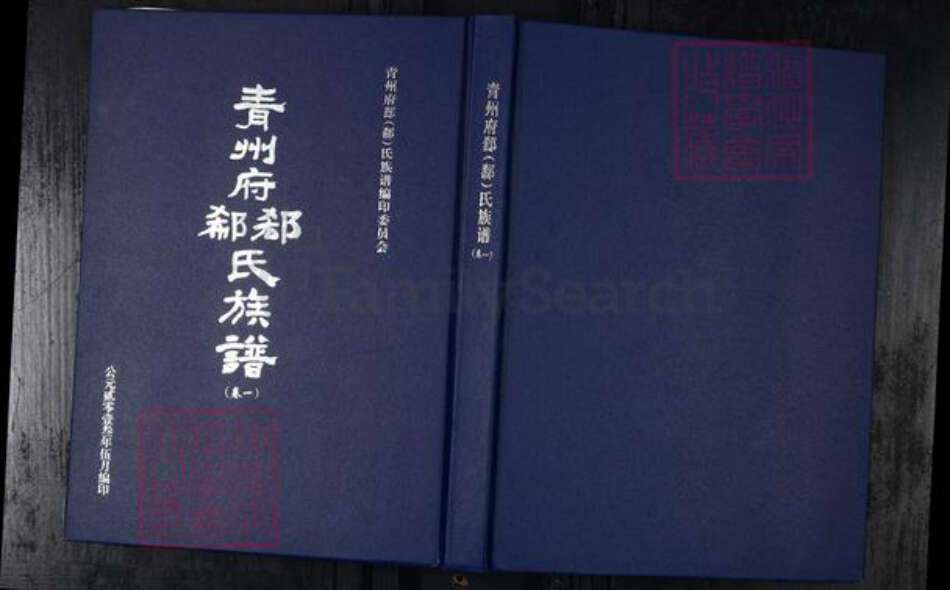 山东省潍坊市青州市郄；郗氏族谱-青州府郄(郗)氏族谱.pdf电子版缩略图