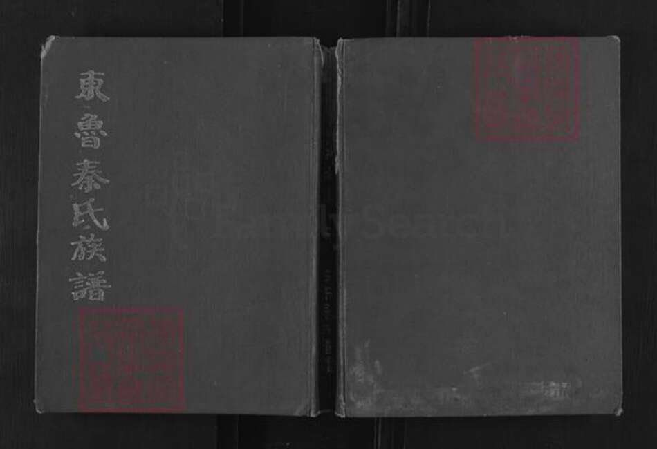 山东省枣庄市滕州市滨湖镇秦氏三贤堂族谱-东鲁.秦氏族谱.pdf电子版缩略图