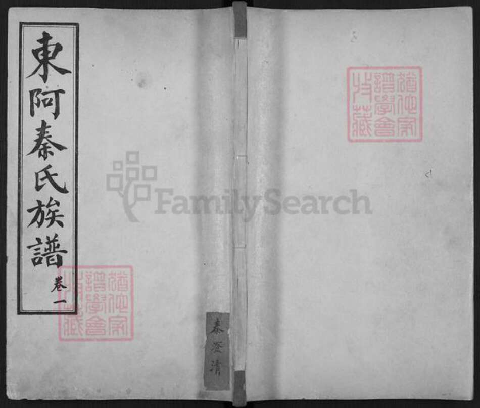 山东省聊城市东阿县秦氏族谱-东阿秦氏族谱.pdf电子版缩略图